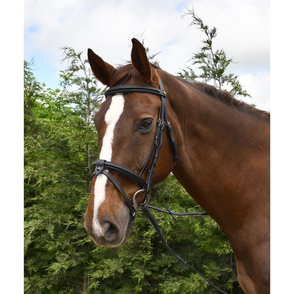 Rhinegold German Leather Bridle With Detachable Flash Noseband