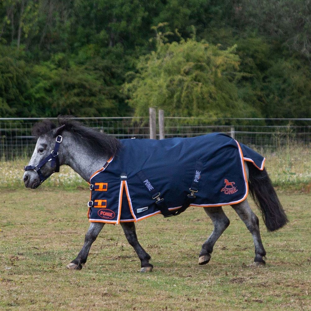 Gallop Ponie DURAPROOF 100g 5-Point Standard Neck Turnout Rug (Navy/Orange/White)