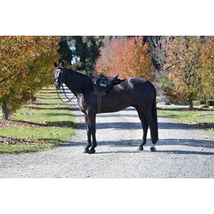 Weatherbeeta Prime Comfy Fleece All Purpose Numnah 