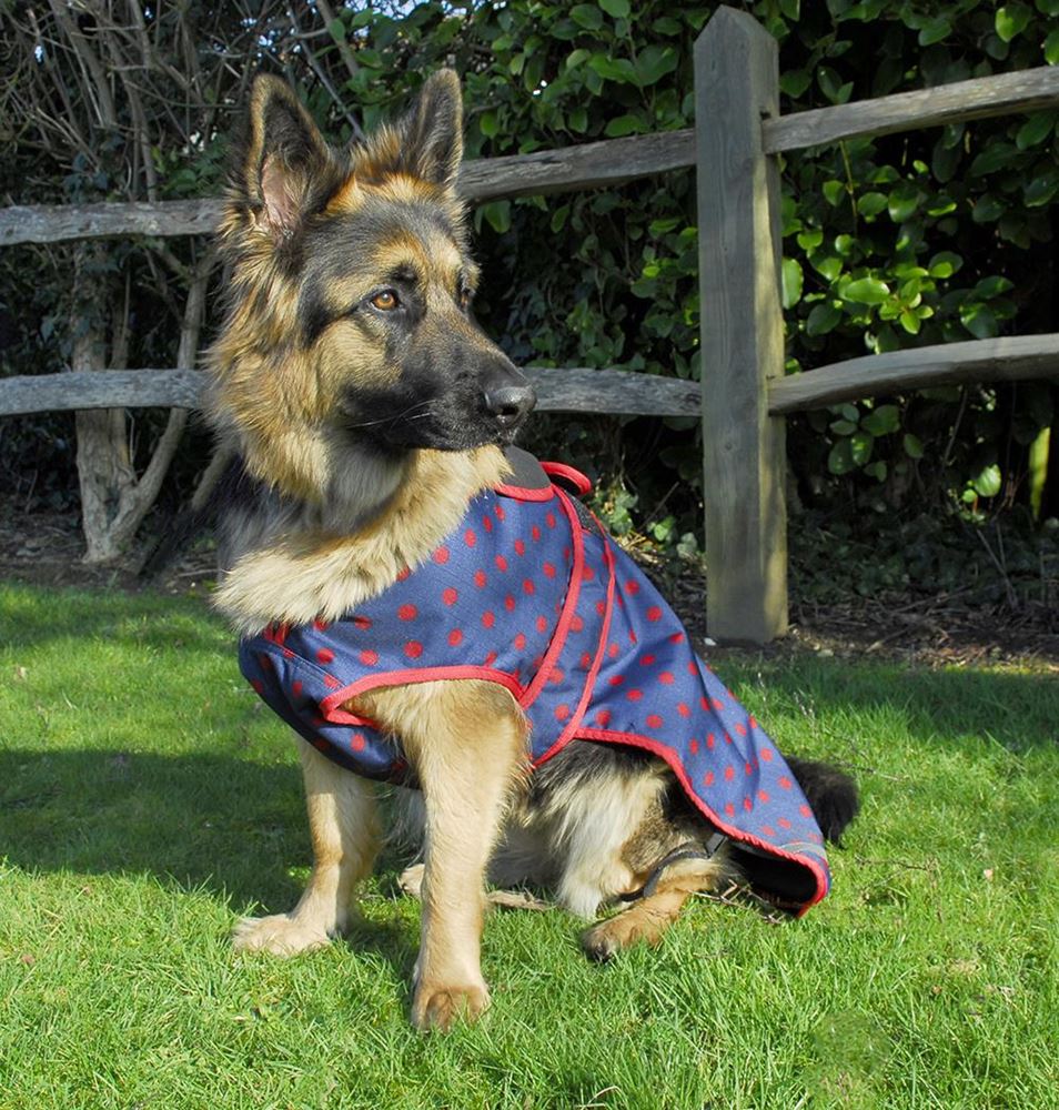 Rhinegold Highland Waterproof Dog Coat (Navy with Red Spots)