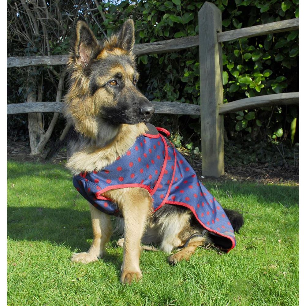 Rhinegold Highland Waterproof Dog Coat (Navy with Red Spots)