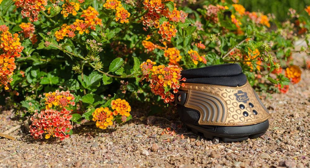 Easycare New Trail Hoof Boots