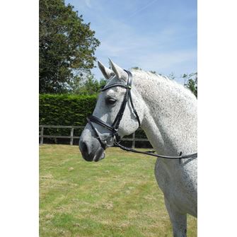 Rhinegold Italian Leather Anatomical Bridle With Flash Noseband