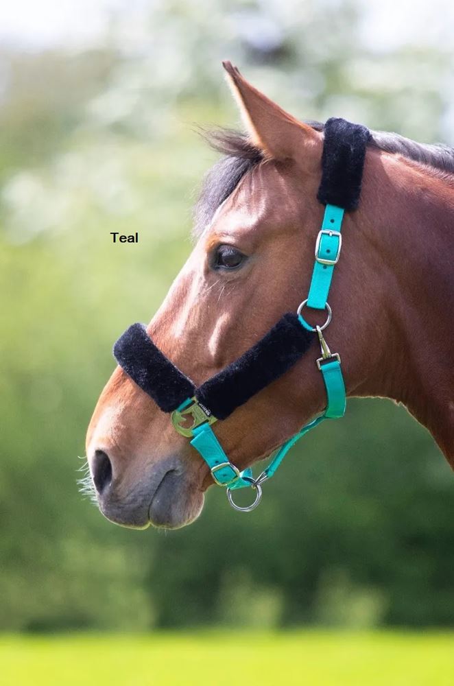 Shires Fleece Lined Headcollar