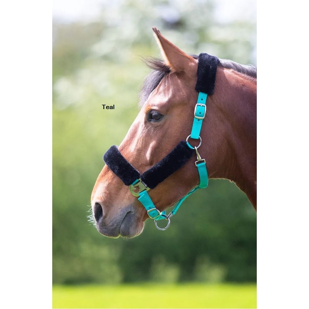 Shires Fleece Lined Headcollar