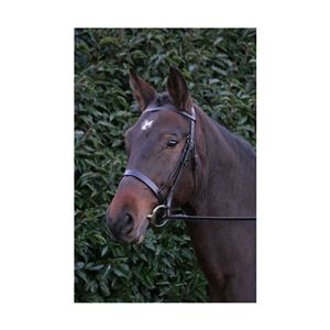 Hy Equestrian Hunter Bridle with Rubber Grip Reins (Black)