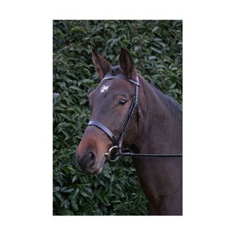 Hy Equestrian Hunter Bridle with Rubber Grip Reins (Black)