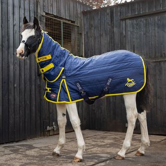 Gallop PONIE 200g Combo Stable Rug (Navy with Yellow bindings)
