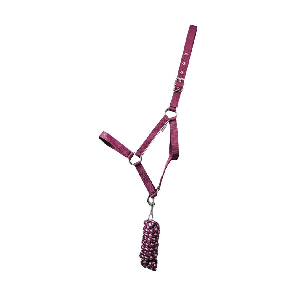 Hy Equestrian Synergy Head Collar (Fig/Silver)