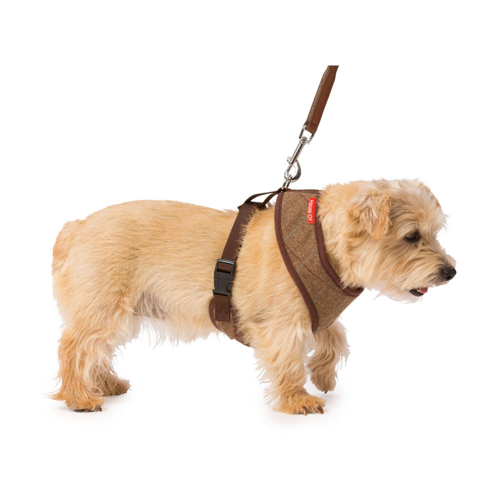 House of Paws Memory Foam Harness - Small