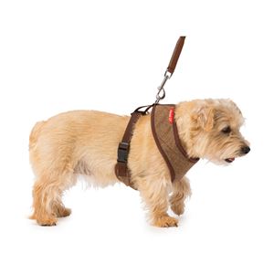 House of Paws Memory Foam Harness - Small