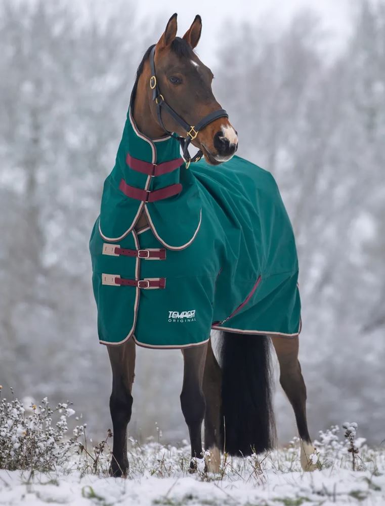 Shires Tempest Original Air Motion Combo Lightweight Turnout Rug (Green)