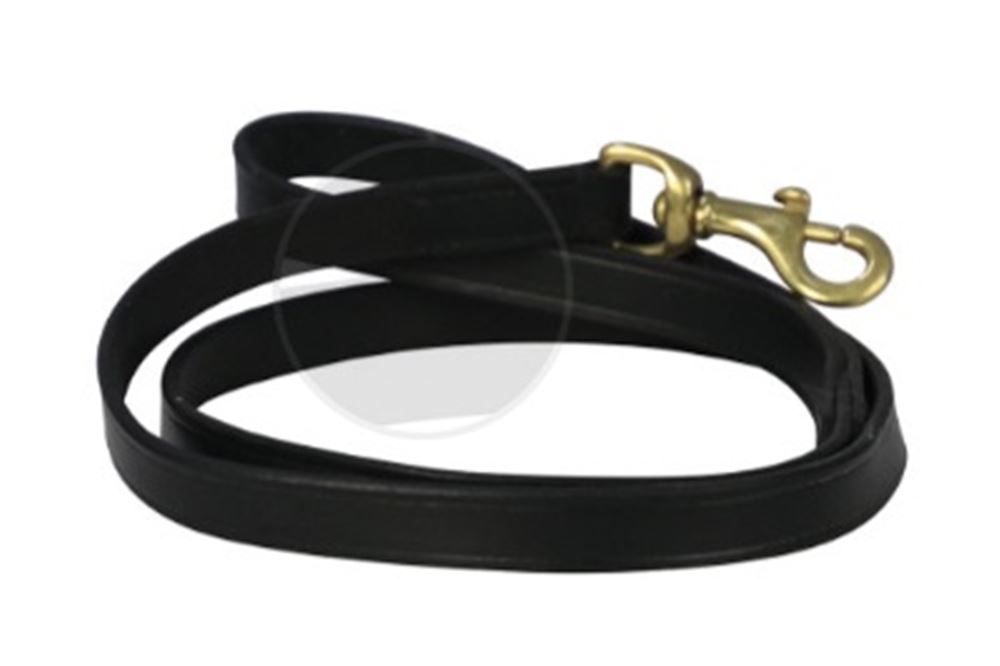 Benji & Flo Deluxe Padded Leather Dog Lead (Black/Brass)