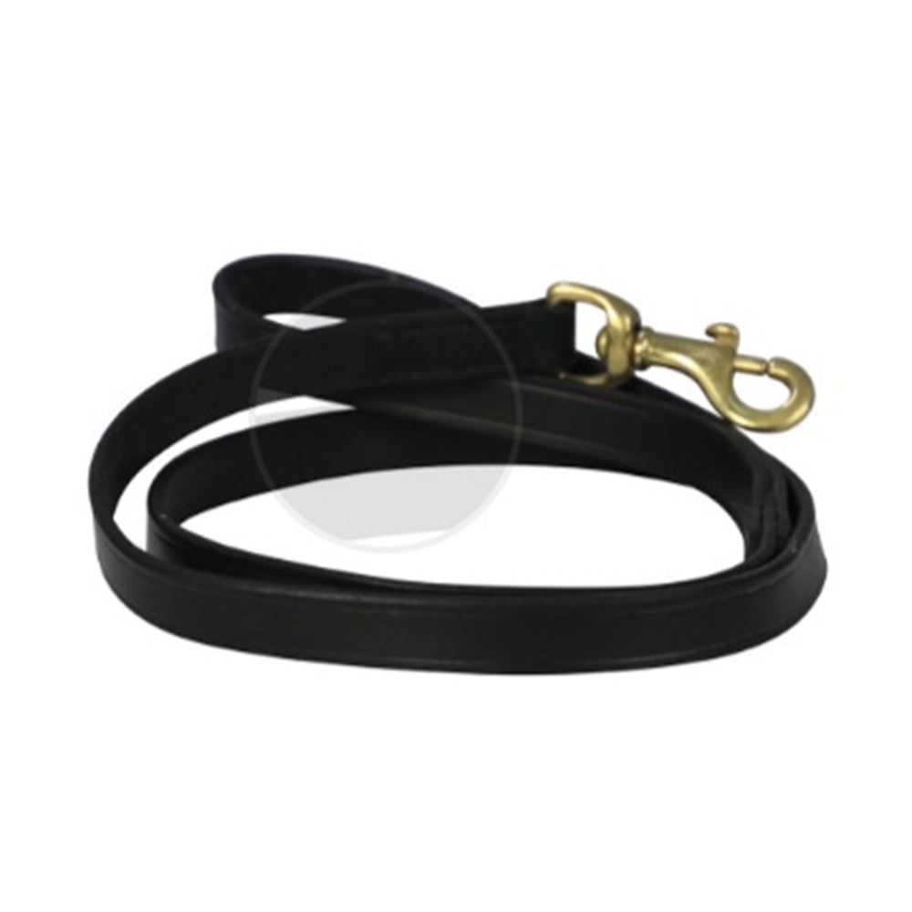 Benji & Flo Deluxe Padded Leather Dog Lead (Black/Brass)