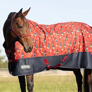 Hy Equestrian StormX Original 50 Turnout Rug - Thelwell Collection Balancing Act