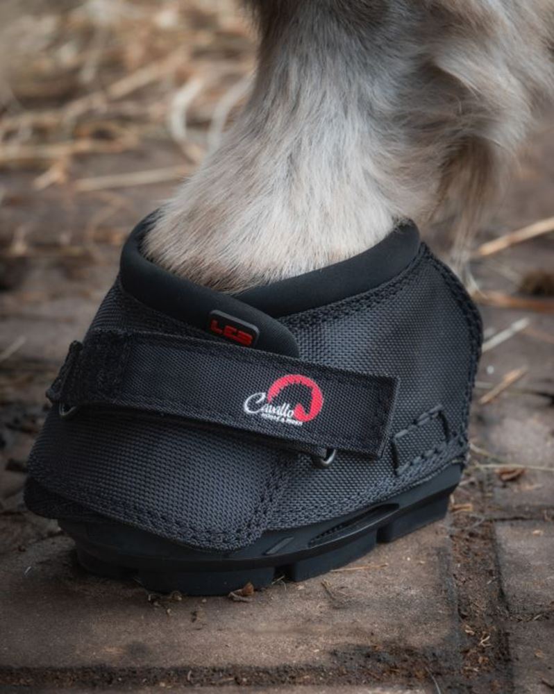 Cavallo Long Ear Boot for Donkeys (Pair)