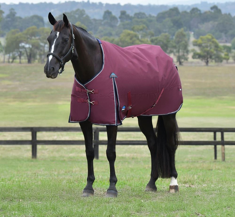 Weatherbeeta Comfitec Essential Turnout Standard Neck - 220g (Burgundy/Navy)