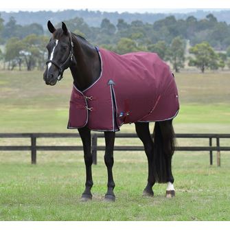 Weatherbeeta Comfitec Essential Turnout Standard Neck - 220g (Burgundy/Navy)
