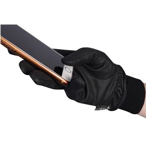 Dublin Synthetic Leather Thinsulate Waterproof Gloves