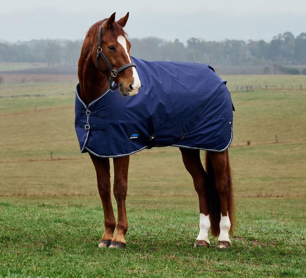 Weatherbeeta Comfitec Tyro Turnout Standard - 50g (Navy/Charcoal)