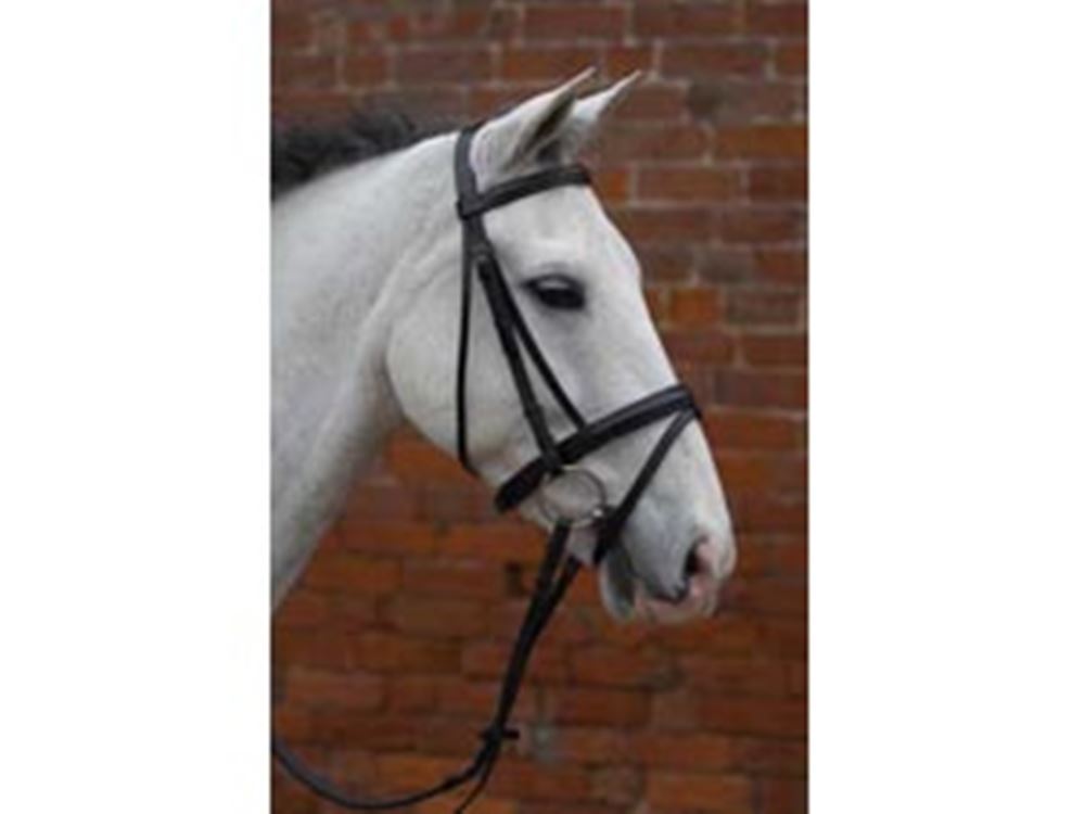 Hy Padded Flash Bridle with Rubber Grip Reins 