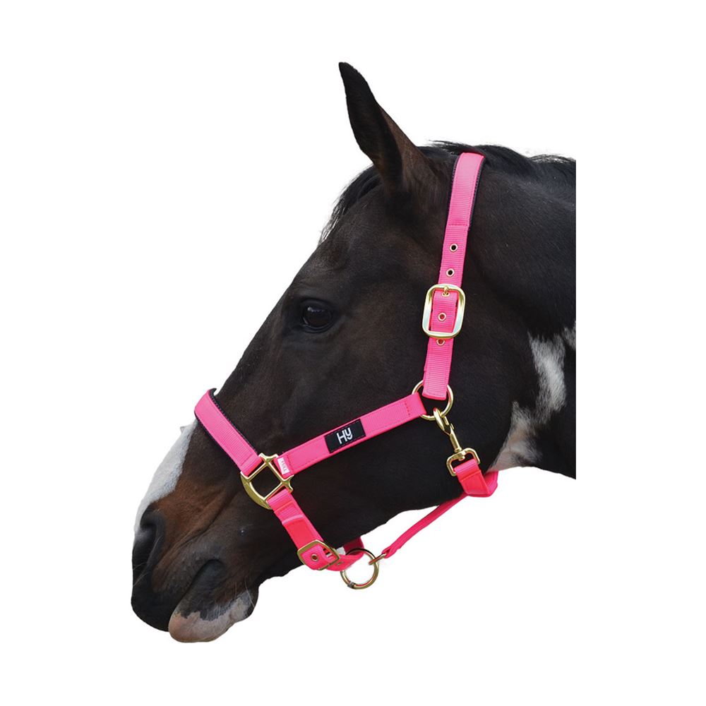 Hy Grand Prix Head Collar