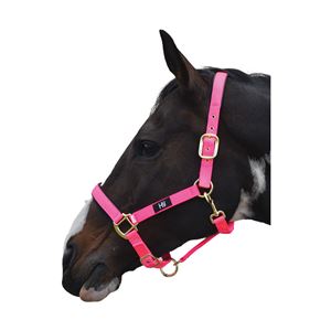 Hy Grand Prix Head Collar