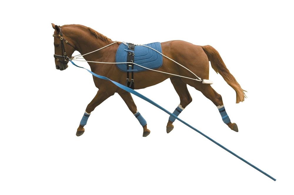 Kincade Lunging Training System