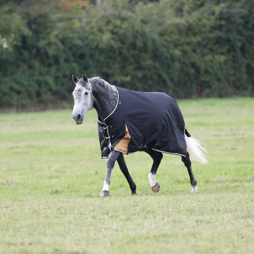Shires Highlander Plus 200 Turnout Rug (Black)