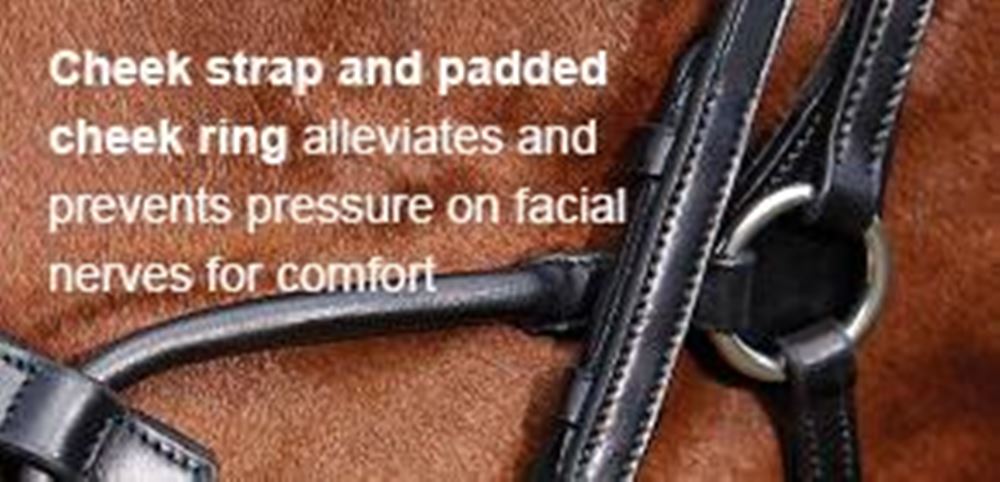 Collegiate Comfitec Crystal Bridle
