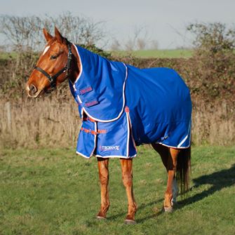 Gallop Trojan Xtra 200 Dual Turnout Rug & Neck Set (Royal Blue)