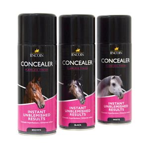Lincoln Concealer Spray Aerosol
