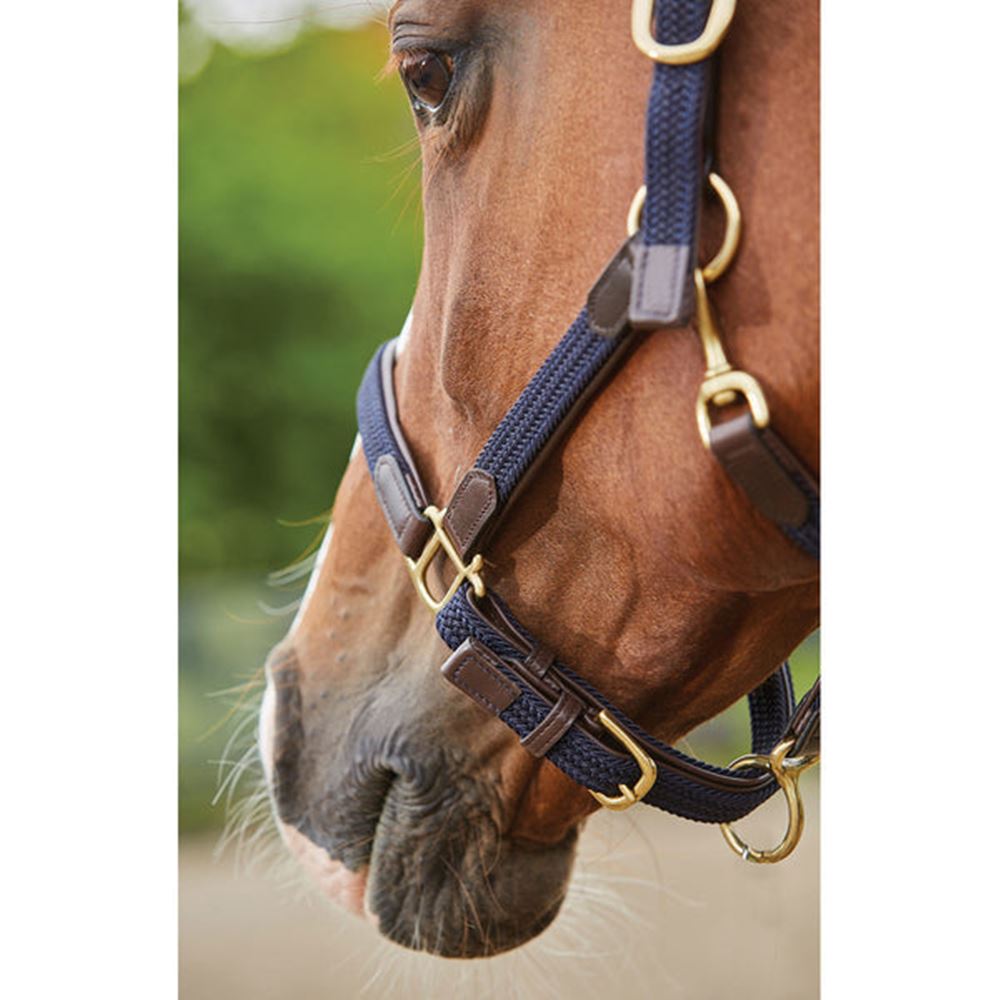 Kincade Braided Leather Headcollar
