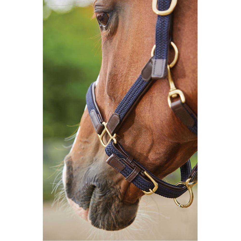 Kincade Braided Leather Headcollar