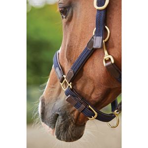 Kincade Braided Leather Headcollar