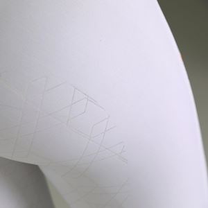 Shires Aubrion Optima Ladies Air Riding Tights (White)