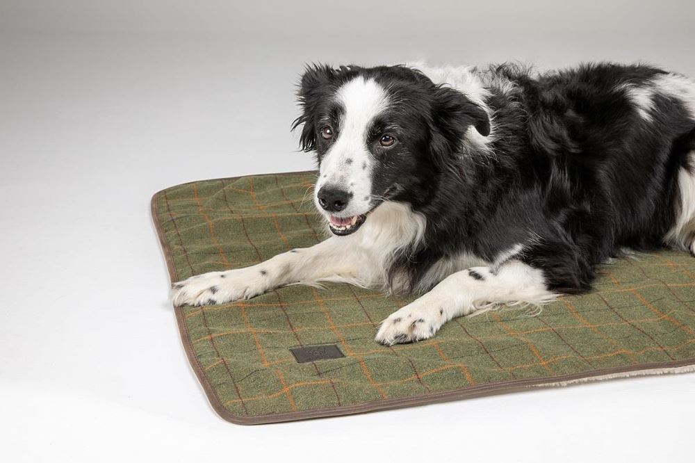 Shires Digby & Fox Tweed Dog Blanket - Small (Red/Yellow/Blue Check)