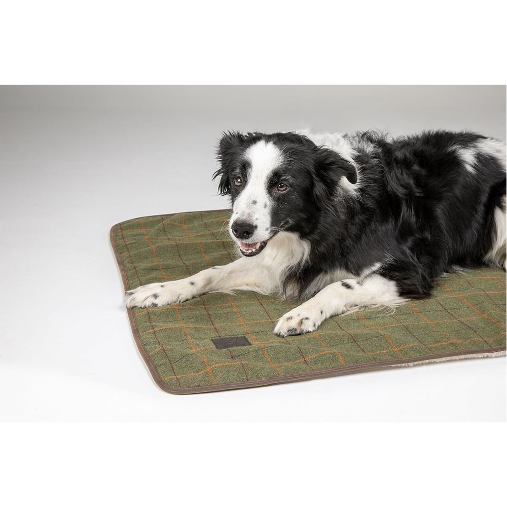 Shires Digby & Fox Tweed Dog Blanket - Small (Red/Yellow/Blue Check)