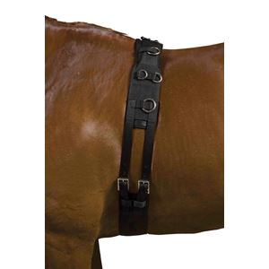 Kincade Deluxe Equigrip Lunge Roller