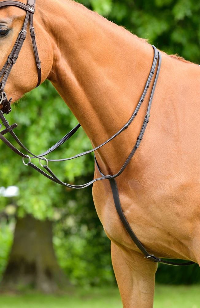 Weatherbeeta Collegiate Comfitec Opulux Plain Flat Running Martingale