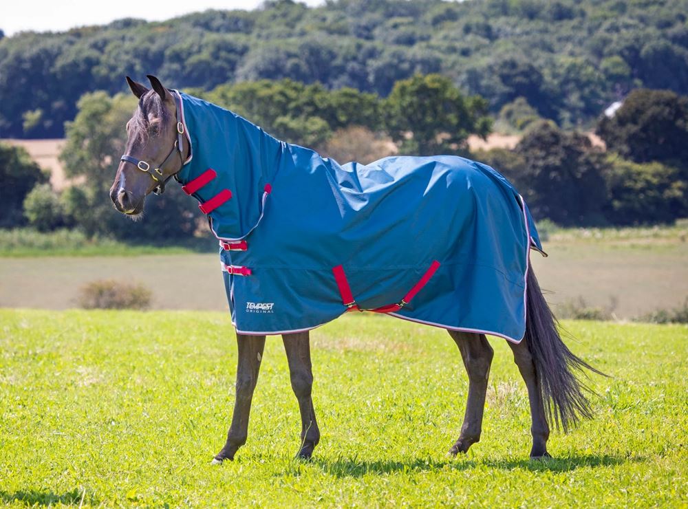 Shires Tempest Original Lite Combo Turnout Rug (Teal)
