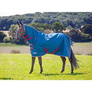 Shires Tempest Original Lite Combo Turnout Rug (Teal)