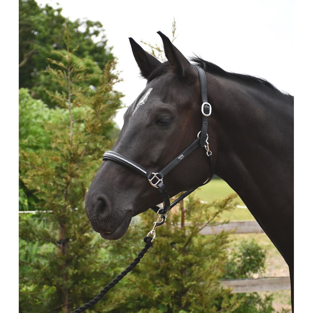 Rhinegold Rocco Italia Milano Leather Headcollar