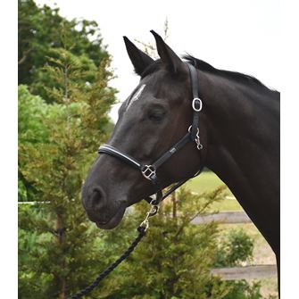 Rhinegold Rocco Italia Milano Leather Headcollar