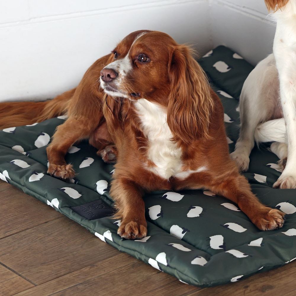 Shires Digby & Fox Waterproof Padded Dog Bed (95 x 105cm)