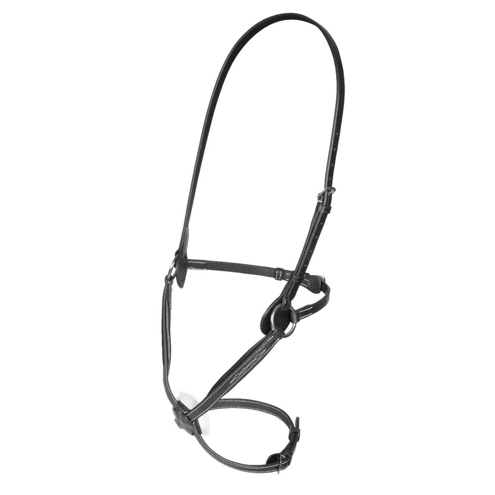 Shires Salisbury Brackley Noseband (Black)