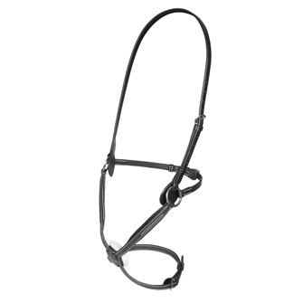 Shires Salisbury Brackley Noseband (Black)