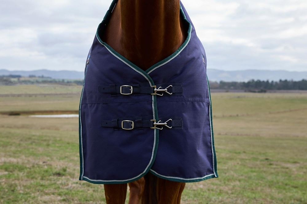 Weatherbeeta Comfitec Plus Dynamic Turnout Standard - 100g (Navy/Forest Green)