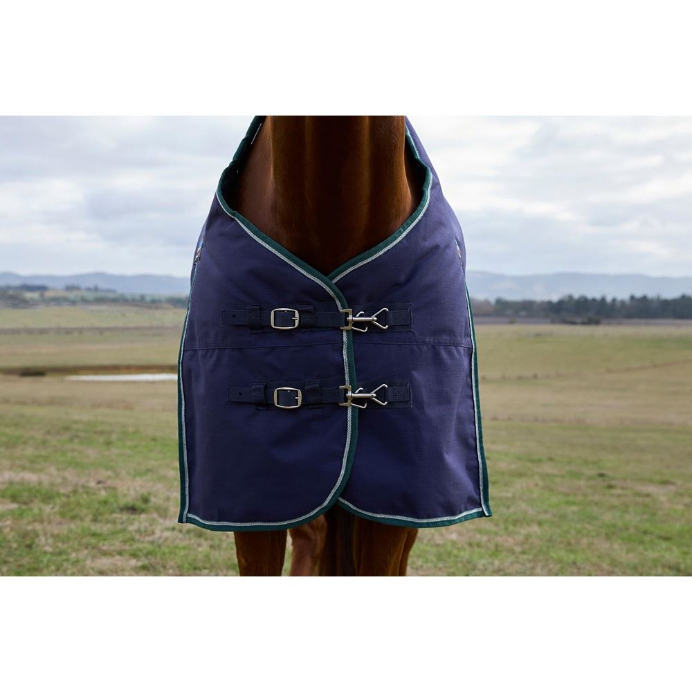 Weatherbeeta Comfitec Plus Dynamic Turnout Standard - 100g (Navy/Forest Green)