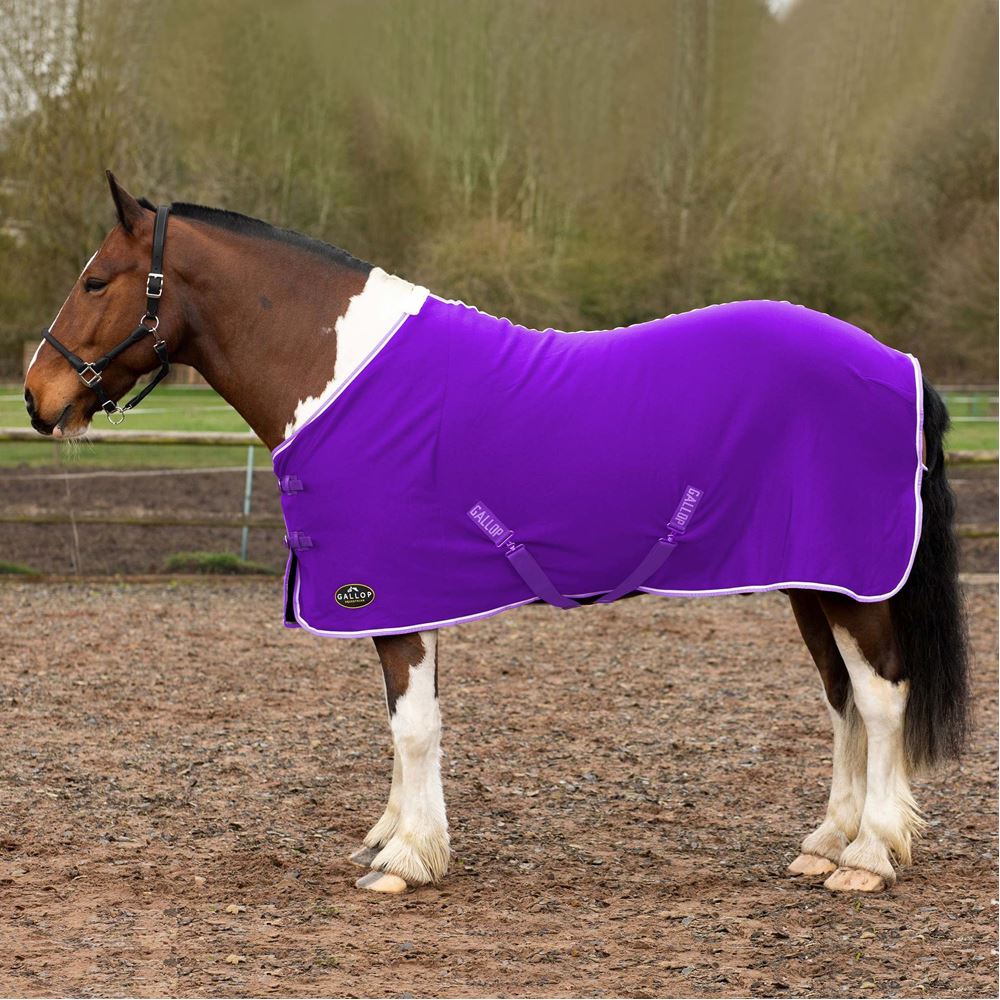 Gallop Jersey Cooler Rug (Purple)
